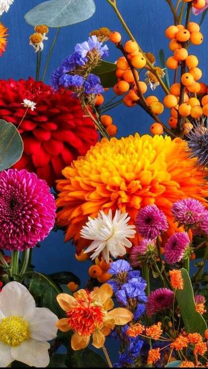 Winter Plants for a Vibrant Garden