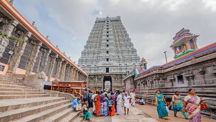 புகழ்பெற்ற அண்ணாமலையார் கோவிலில் தம்பதி செய்த வேலை! அதிர்ச்சியில் பக்தர்கள்! எச்சரித்த போலீஸ்!
