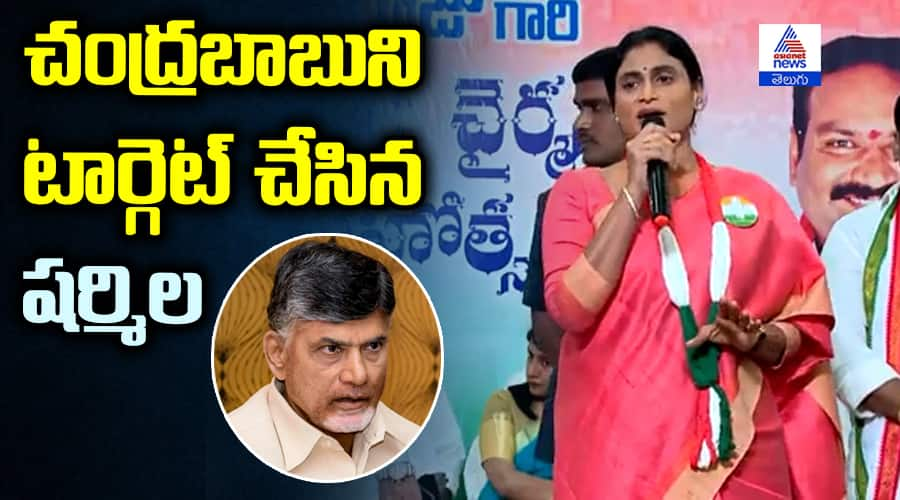 YS Sharmila Fire on AP CM Chandrababu