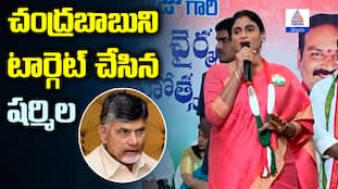 YS Sharmila Fire on AP CM Chandrababu