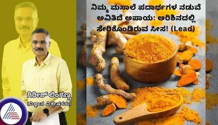 high level of lead found in Turmeric in India grg 