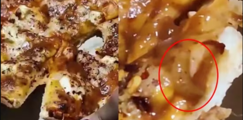 man finds live worms in pizza ordered online Viral video disgusts internet