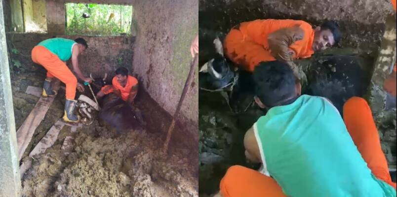 fire force rescued cow which fell in five feet manure pit owner thanks from the heart