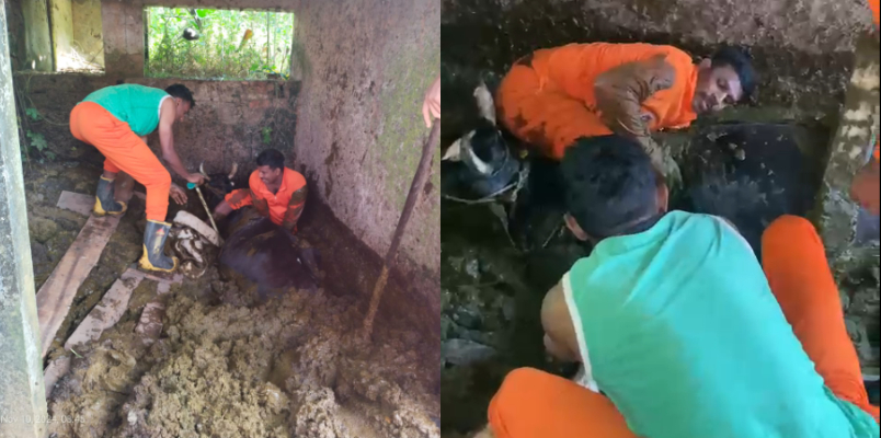 fire force rescued cow which fell in five feet manure pit owner thanks from the heart