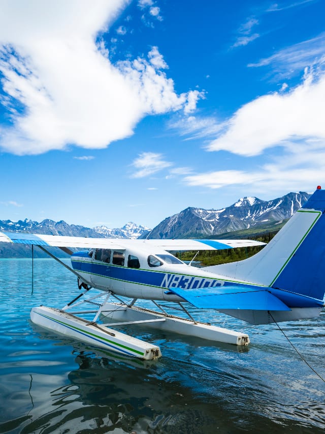 The Secret of Seaplanes: How They Stay Afloat