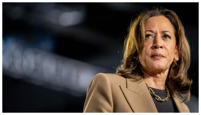 reason behind Kamala Harris's defeat in the US presidential election