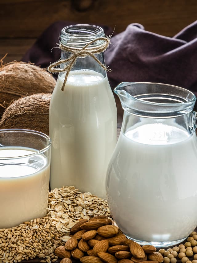 Lactose Intolerance Common milk alternatives