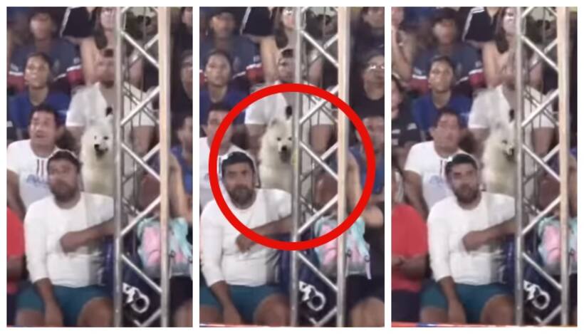 Asianet Image