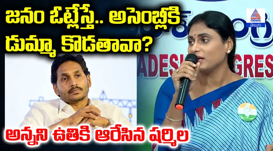 YS Sharmila Pressmeet Fire on YS Jagan