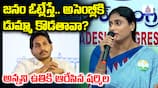 YS Sharmila Pressmeet Fire on YS Jagan