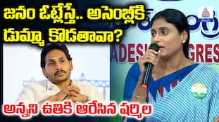 YS Sharmila Pressmeet Fire on YS Jagan