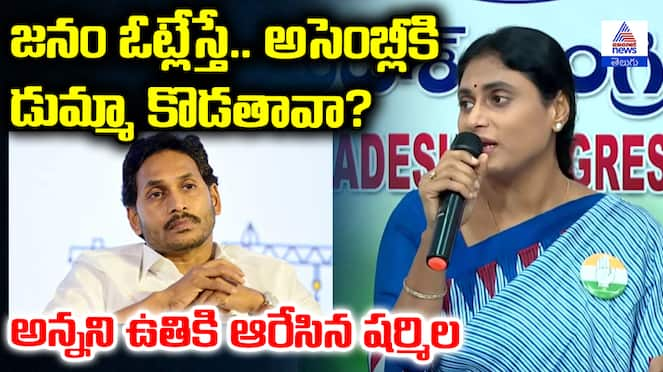 YS Sharmila Pressmeet Fire on YS Jagan