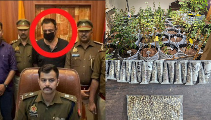 man held for growing ganja using ultra modern technique inside apartment