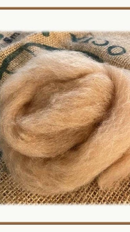 Delicate Vicuña fibers