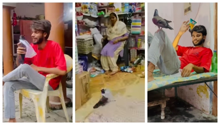 video of a young man buying goods using a pigeon has gone viral 