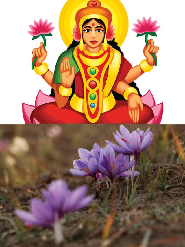 5 Fragrances to Attract Lakshmi Blessings and Prosperity anr