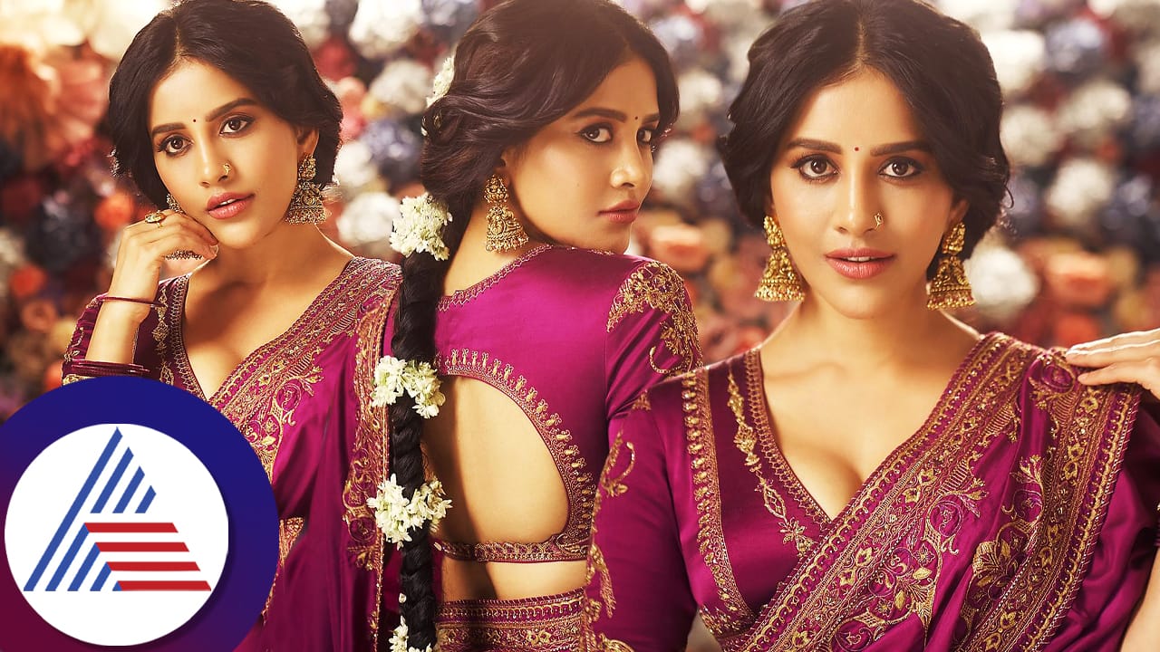 Nabha Natesh looks gorgeous in magenta saree pav