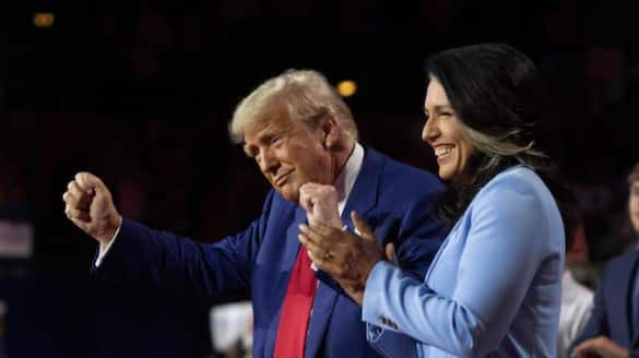 Who is Tulsi Gabbard? Meet Hindu American appointed by Donald Trump as US Intelligence Chief gcw