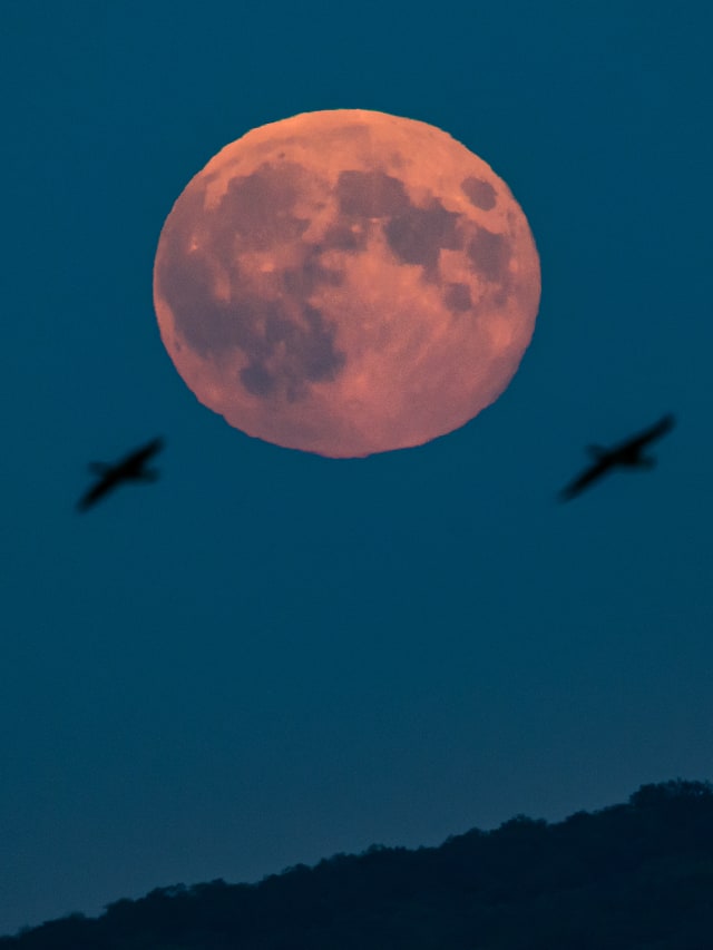 last Supermoon of 2024 Moon Time viewing in India anr