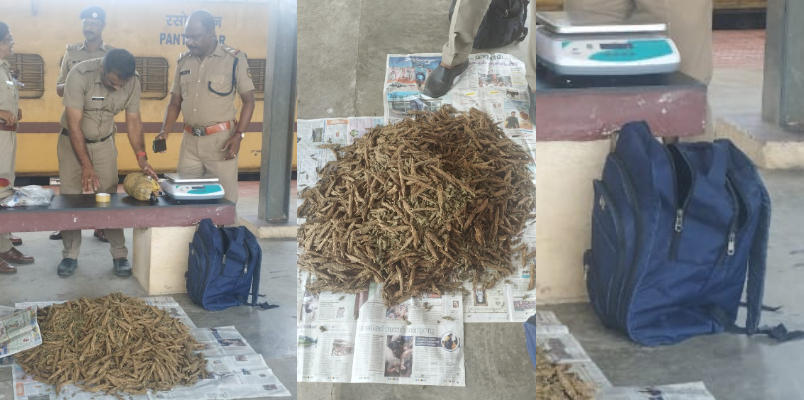 kerala laest drug case update 10 kg of cannabis seized from thrissur railway station 