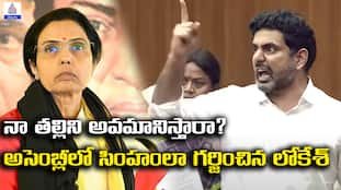 lokesh agressive speech in assembly 