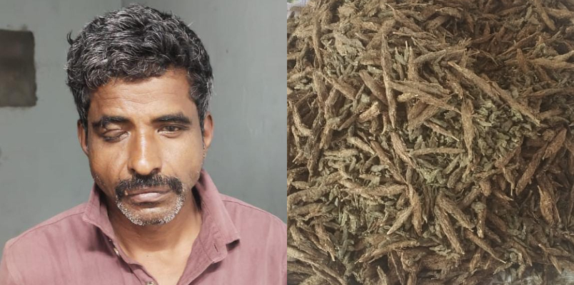 man arrested with 10 kg of cannabis from kalpetta bus stand