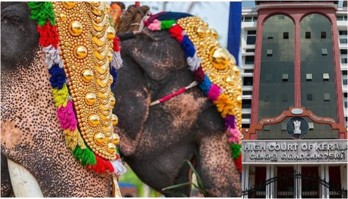 high court with crucial order on elephant procession issues detailed guidelines