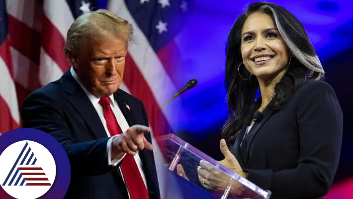 Who is Tulsi Gabbard First Hindu Congresswoman appointed by Trump as US intelligence director suc