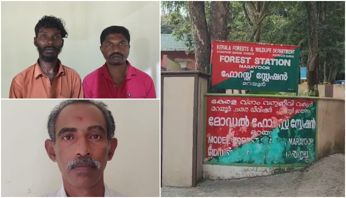 4  keralites arrested from kodaikanal after secret information on chopping sandalwood from marayoor 