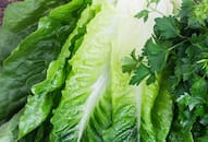 These 5 leafy greens can help  you boost winter immunity iwh