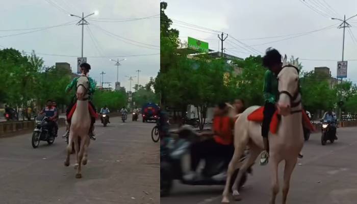 horse kicks scooty riders fell in road shocking video 