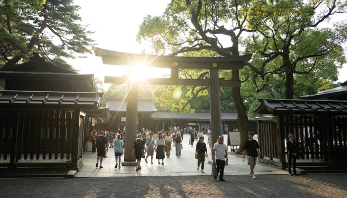 tourist carving letters in Tori gate of Meiji Jingu Shrine arrested in Japan 