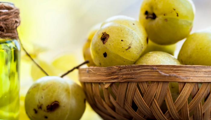 6 reasons why Amla Indian gooseberry  must have in winters  