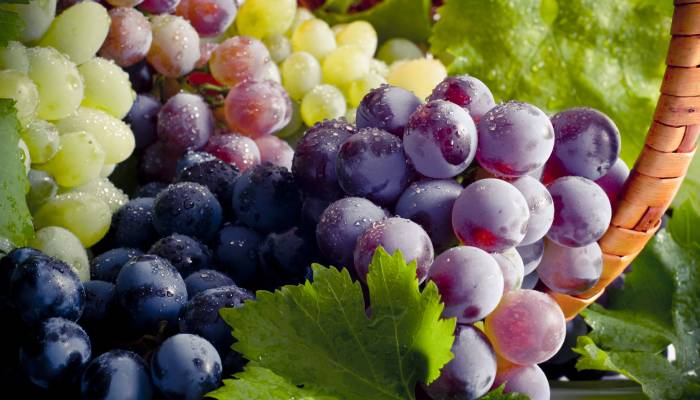 how to grow grape in home 