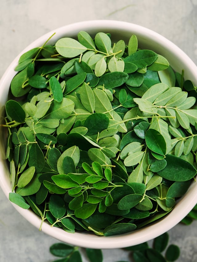 benefits of eating moringa leaves