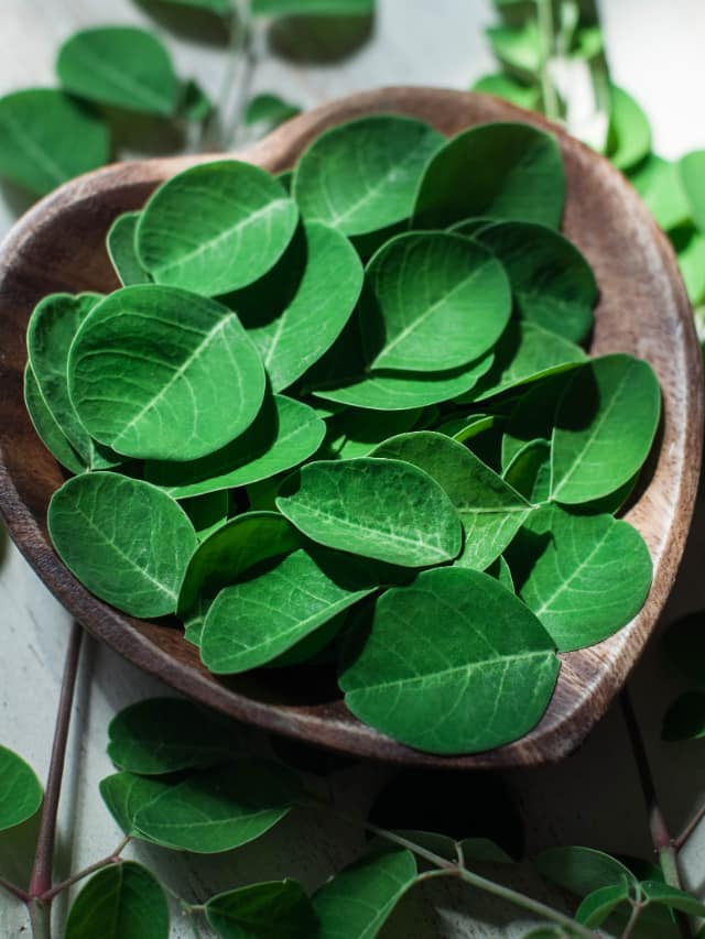 Amazing Health Benefits of Moringa Leaves rav