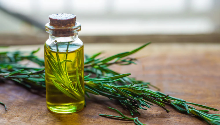 How to use Rosemary oil to grow hair