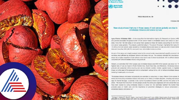 Areca Nut Carcinogenicity WHO Report Raises Concerns Among Growers