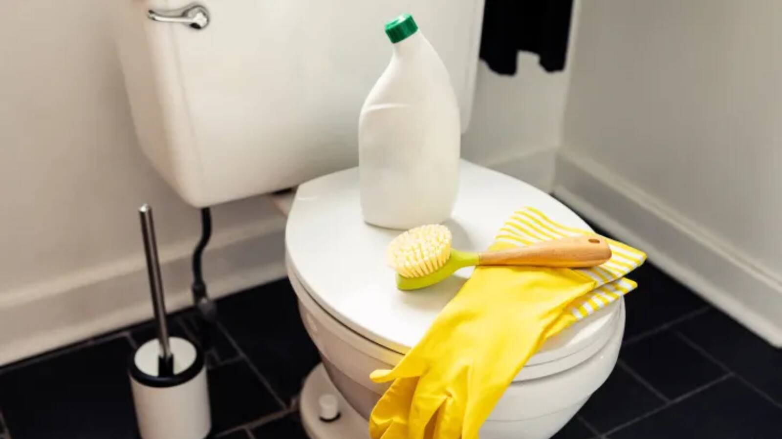 Homemade toilet cleaner 