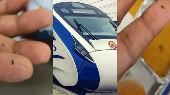 Insects found in sambar served on Vande Bharat train, Railways slaps Rs 50,000 fine on catering firm dmn