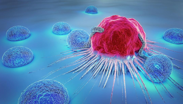 new study covid 19 virus can attack cancer tumors ans