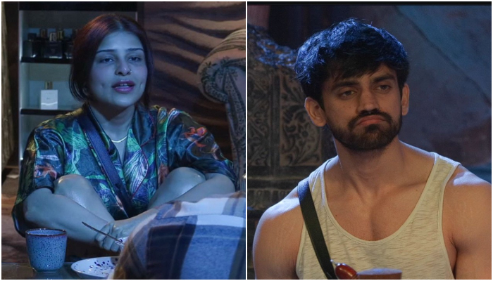 Bigg Boss 18: Edin Rose's feud with Avinash Mishra steals the show; wildcards face cold shoulder ATG