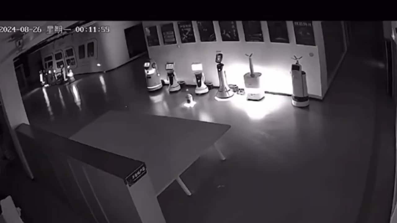 'Come home with me': 12 robots 'kidnapped' from showroom by another robot in China; video goes viral (WATCH)