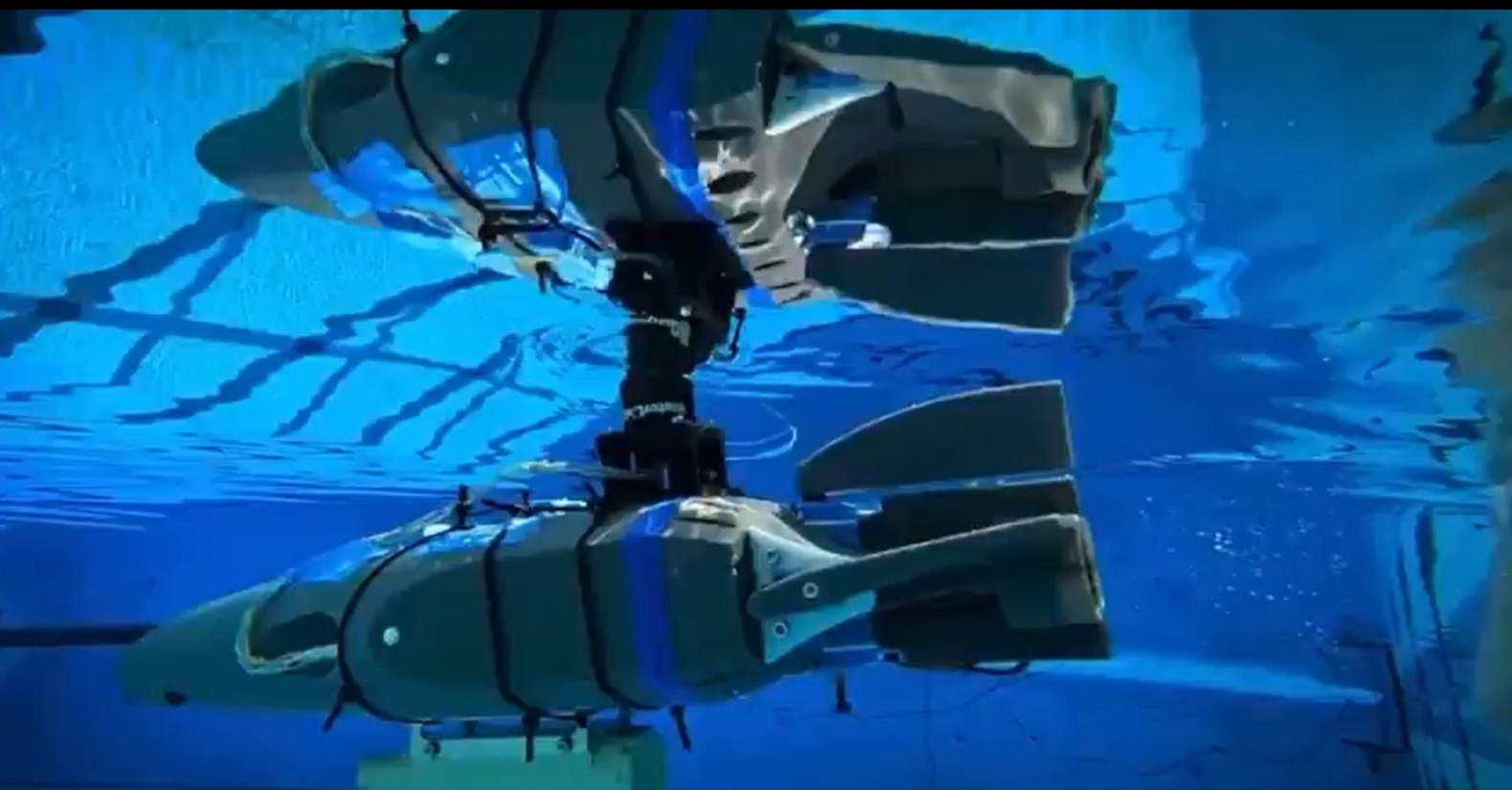 NASA tests tiny swimming robots to find Alien life, explore oceans on icy Moons (WATCH) shk