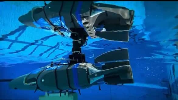 NASA tests tiny swimming robots to find Alien life, explore oceans on icy Moons (WATCH) shk