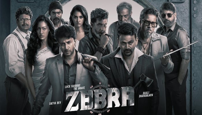 Zebra movie revew and rating arj