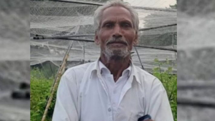 Uneducated Farmer Out-earns MBA Graduates with Apple Plum Farming rav