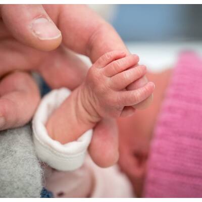 Newborns feel pain before they understand it, UCL study finds
