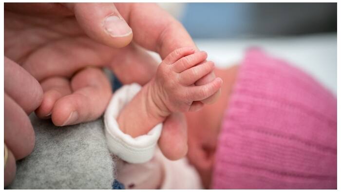 Newborns feel pain before they understand it, UCL study finds