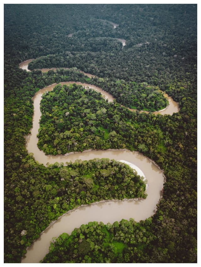 Worlds 5 Largest Rainforests Amazon Congo New Guinea Sundaland Mekong sns